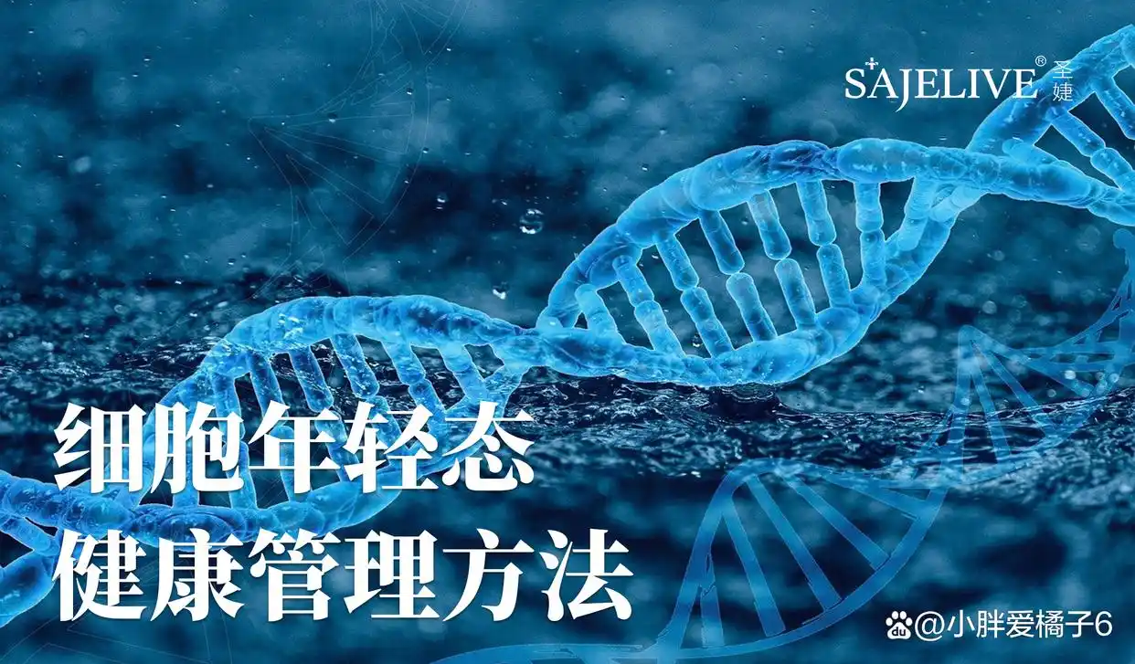 圣婕等品牌:械字号医用敷料崛起 2027年整个市场规模将达967亿